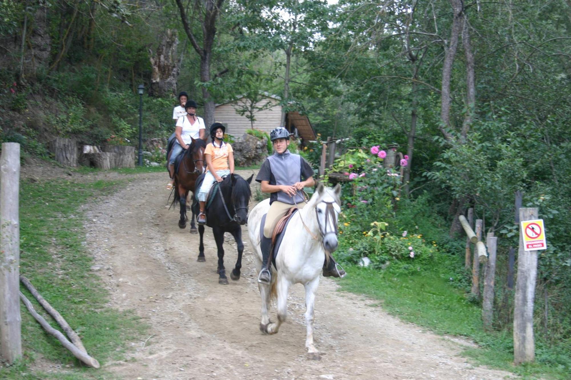 Els Torrents Hotel Bellver De Cerdanya Ngoại thất bức ảnh