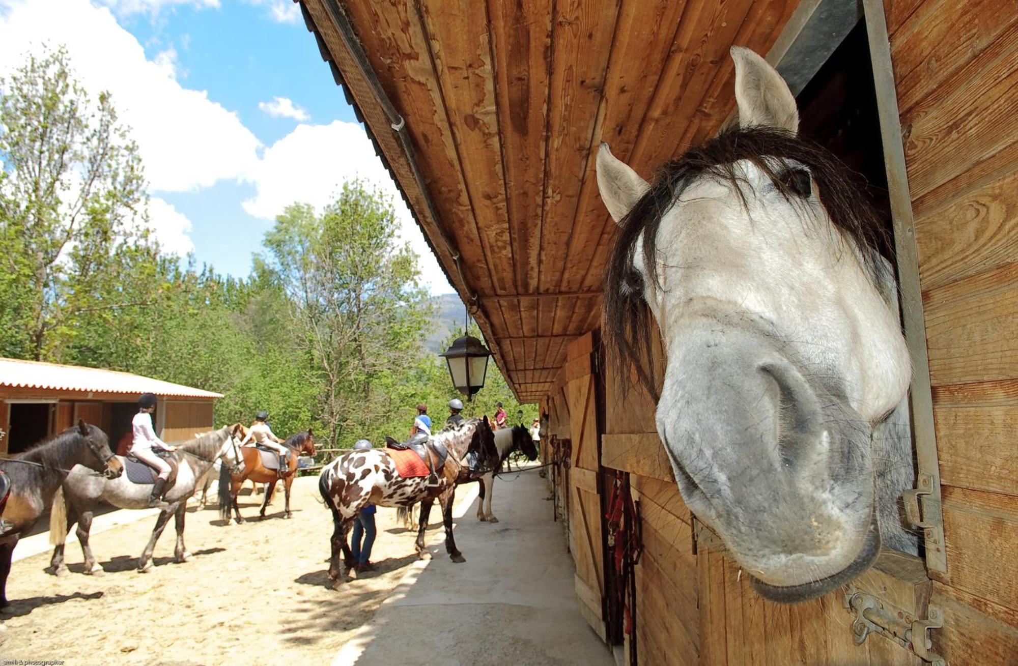 Els Torrents Hotel Bellver De Cerdanya Ngoại thất bức ảnh
